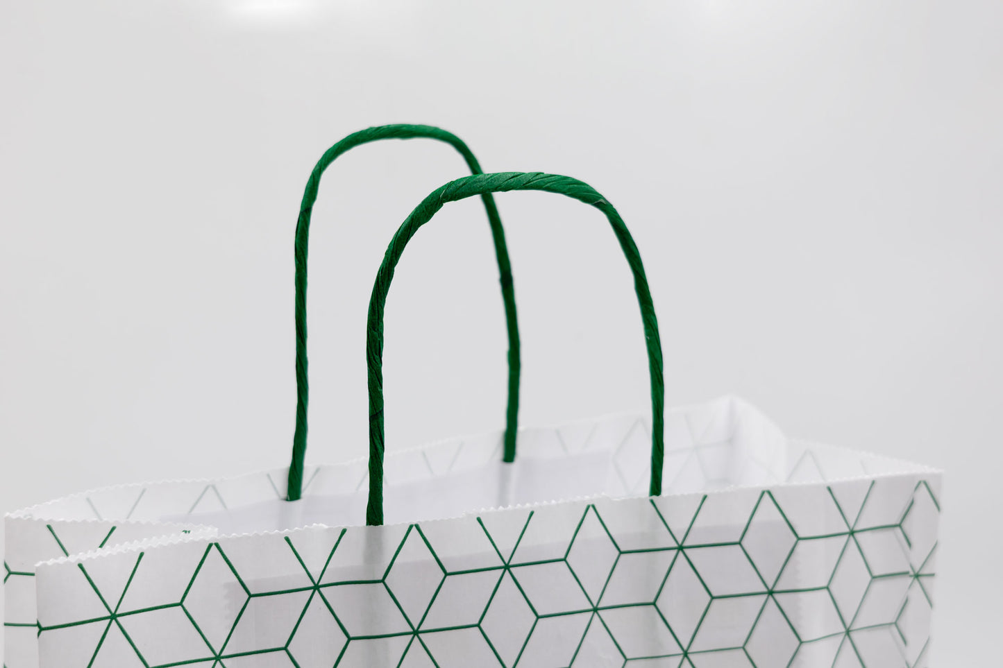 Pack de 25 Bolsas de Papel Kraft Reciclado con Asas Trenzadas y Estampado Geométrico en Verde